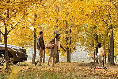 男子藏200张《双人成行》Switch卡带入境被查处