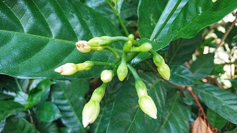 美国死亡谷56度高温已致1人死亡：但仍有大批民众前往探险