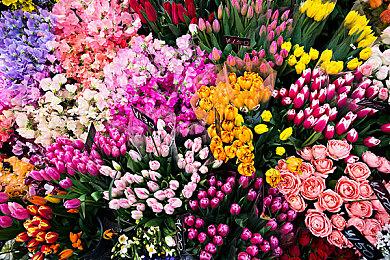 《半条命2》RTX演示现已推出：强制N卡3060Ti以上